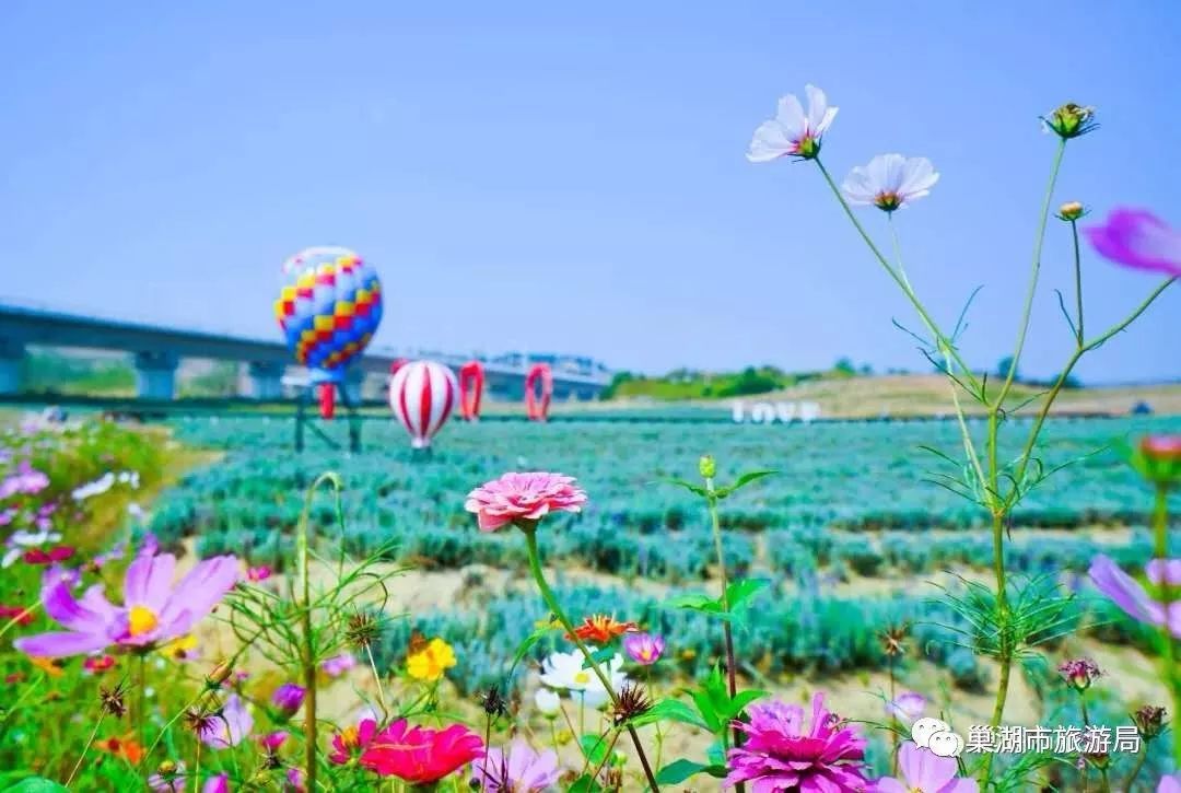 2023年7月我司為巢湖尖山園提供語音導(dǎo)覽系統(tǒng)!